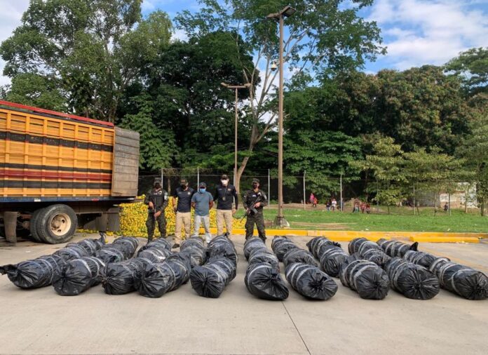 Decomisan 260 kilos de marihuana ocultos en un furgón que transportaba madera en Ecuador