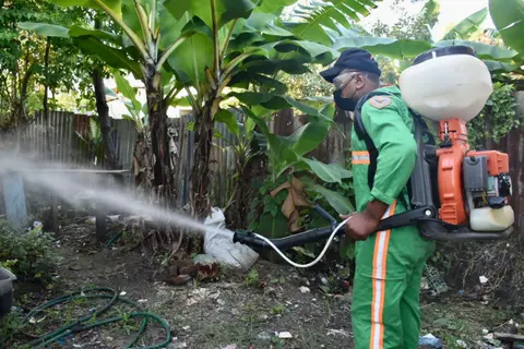 operativo contra el dengue