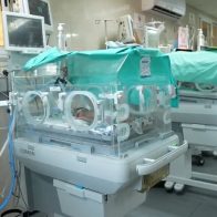 Bebés prematuros mueren en hospital de Gaza por falta de electricidad - Noticias de hoy en República Dominicana | De Último Minuto