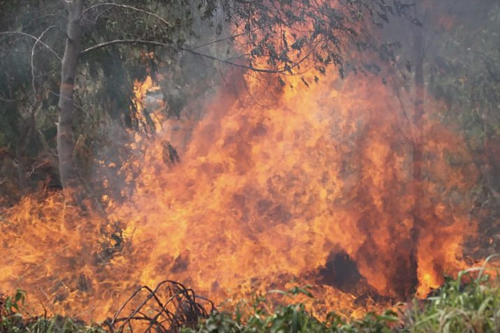 Bolivia informa de siete incendios forestales, dos dentro de sus reservas naturales