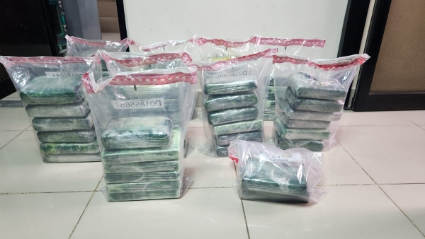 Ocupan 56 paquetes de presunta cocaína ocultas en carga de cocos en el AILA