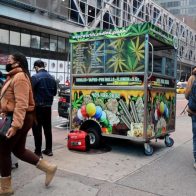 marihuana
