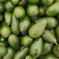 Intervienen en España 530 kilos de cocaína procedentes de RD en cajas de aguacates - Noticias de hoy en República Dominicana | De Último Minuto