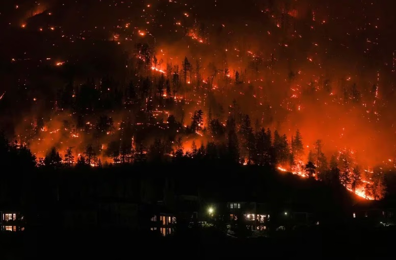 Incendio forestal