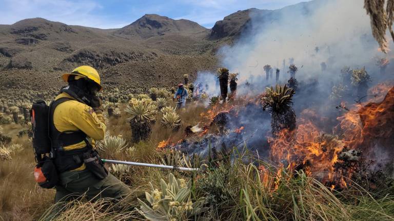 Bomberos controlan incendio en reserva de Ecuador con unas 800 hectáreas quemadas