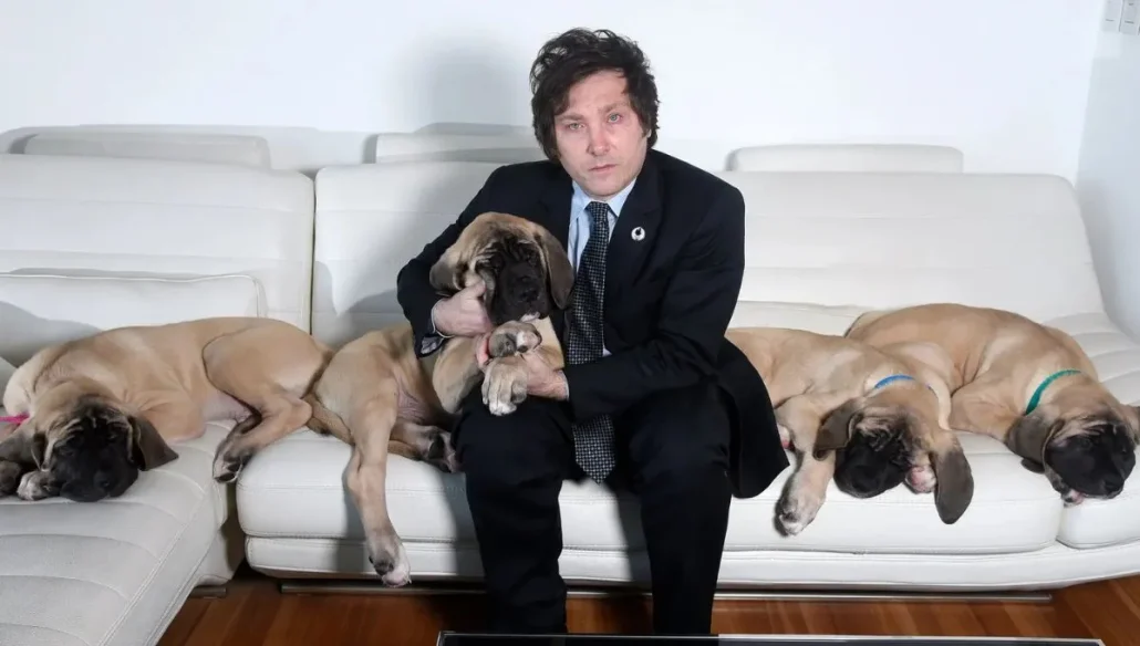 Milei celebra que sus perros se reunirán pronto con él en la residencia presidencial