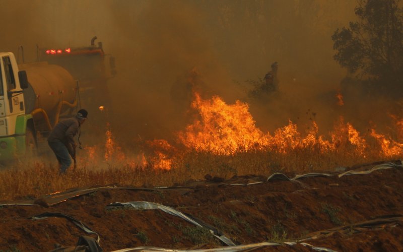 Aumenta a 112 el número de fallecidos en incendios en Chile