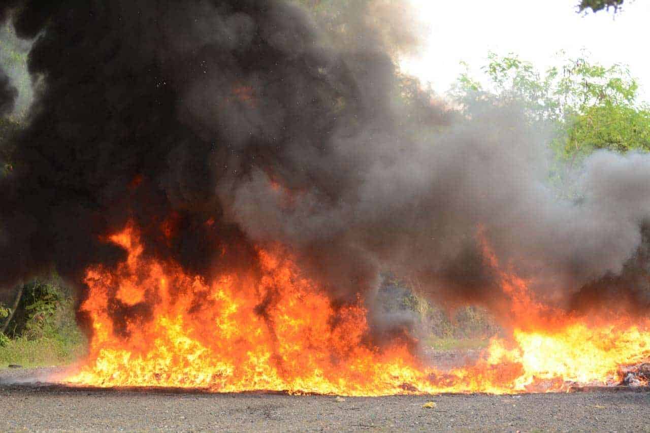 Autoridades queman 443 kilos de drogas - Noticias de hoy en República Dominicana | De Último Minuto