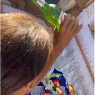Con bebidas alcohólicas sepultan restos de recluso asesinado en cárcel de Santiago - Noticias de hoy en República Dominicana | De Último Minuto
