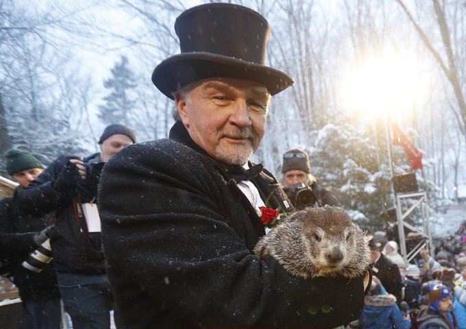 La famosa marmota estadounidense Phil pronostica una primavera temprana