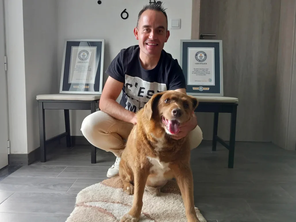 Retiran récord del perro más viejo del mundo al luso Bobi por falta de pruebas de su edad