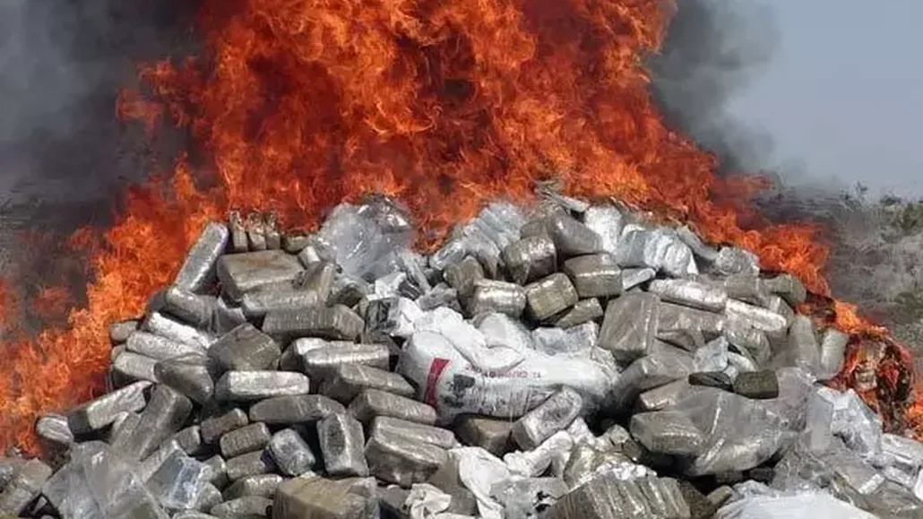 Las autoridades incineran más de 300 kilos de diferentes tipos de droga