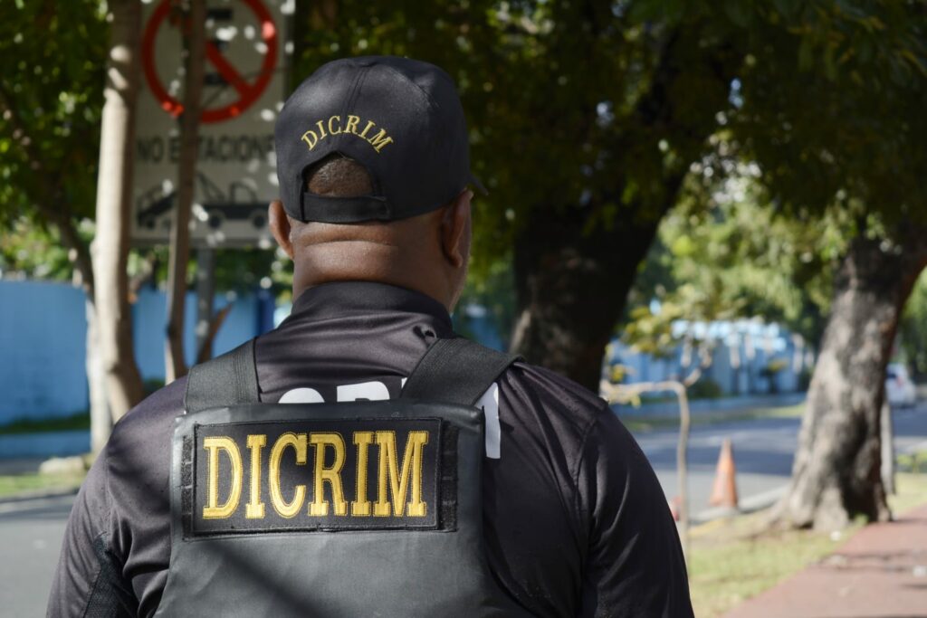 Agentes policiales, adscritos a la División de Investigación (DICRIM) y miembros de Prevención, arrestaron en flagrante delito a dos hombres