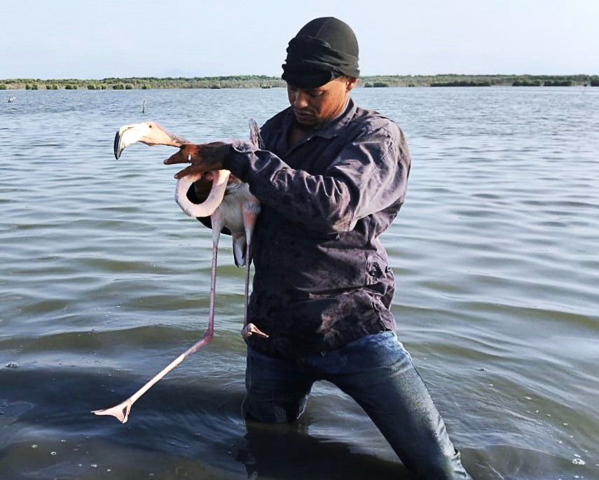 Guardaparques de Medio Ambiente mantienen vigilancia permanente en los estuarios de Estero Balsa