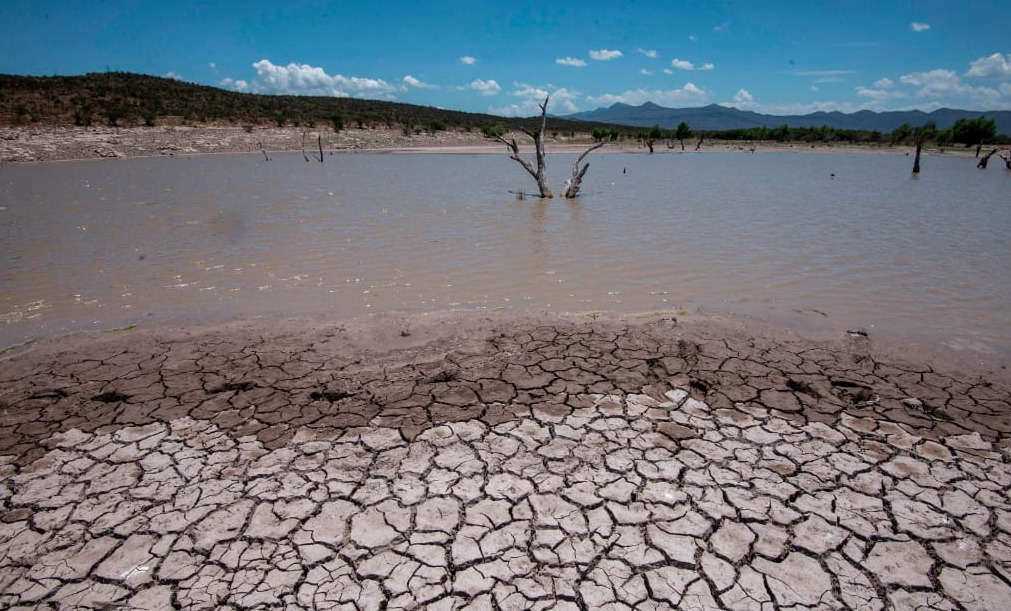 El Niño se debilita, pero las altas temperaturas persistirán hasta mayo, alerta la OMM