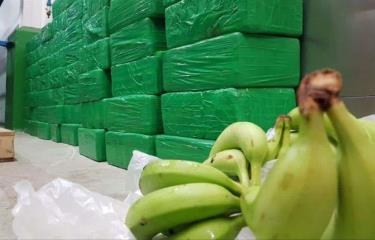 Decomisan 100 kilos de cocaína en cajas de banano en Ecuador