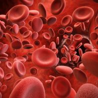 Día Mundial de la Hemofilia