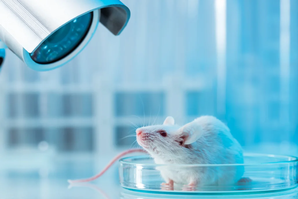 Una inmunoterapia contra el alzhéimer da resultados prometedores en ratones