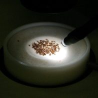 El bloqueo de dos genes germinales reduce el tamaño de tumores cerebrales - Noticias de hoy en República Dominicana | De Último Minuto