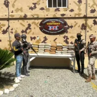 Incautan 384 libras de marihuana en Elías Piña  