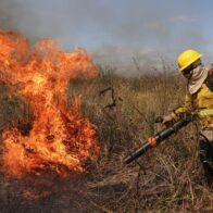 Los incendios llenan de humo y cenizas al Pantanal brasileño - Noticias de hoy en República Dominicana | De Último Minuto