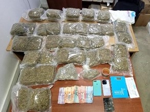 Autoridades ocupan más de 30 libras de marihuana en Santiago