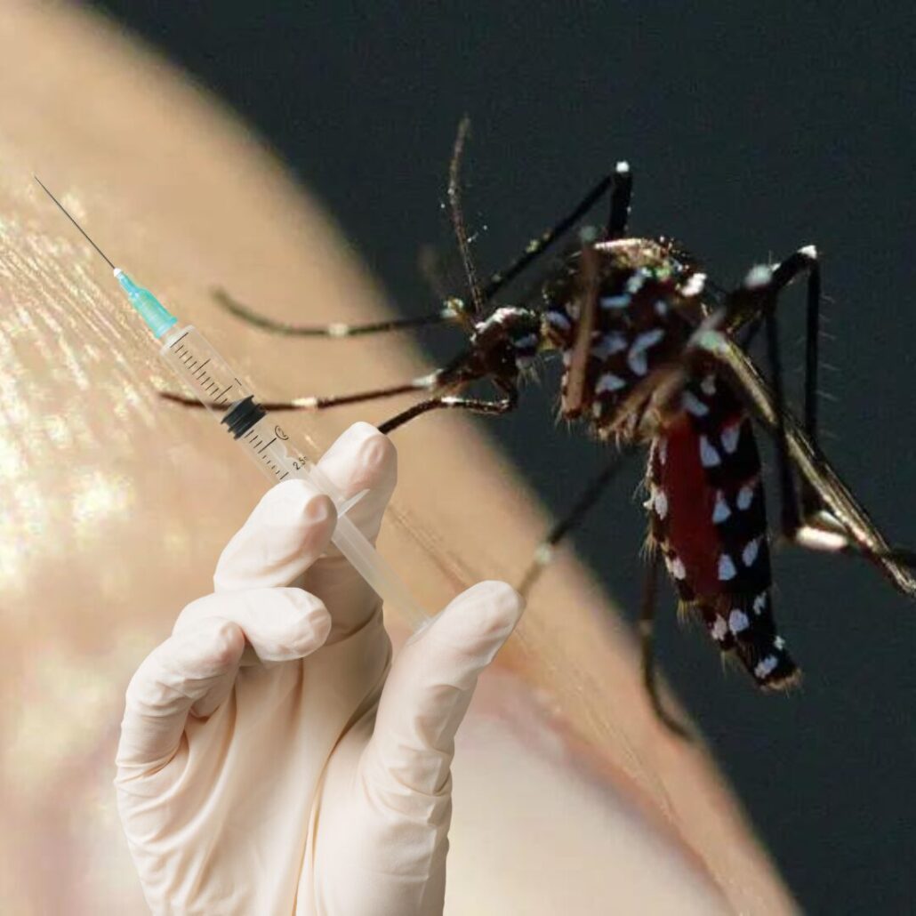 Aprobada la primera vacuna contra el virus Chikunguña en la Unión Europea