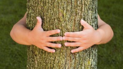 Día Mundial del Árbol
