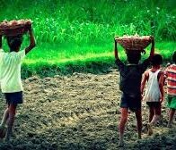 Unicef pide a RD mayor compromiso para acabar con el trabajo infantil - Noticias de hoy en República Dominicana | De Último Minuto