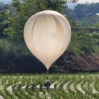 Corea del Norte retoma el envío al Sur de globos llenos de desechos - Noticias de hoy en República Dominicana | De Último Minuto