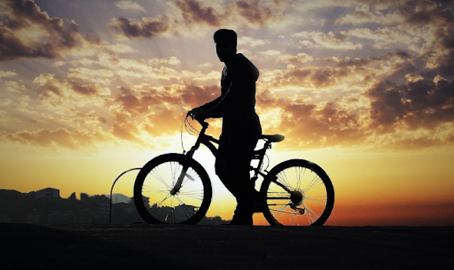 Día Mundial de la Bicicleta