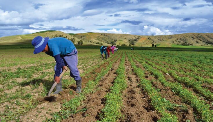 Exportaciones agropecuarias crecieron un 38.5 % interanual