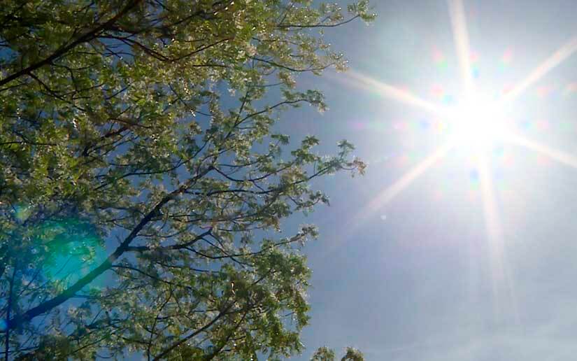 Ambiente caluroso y soleado predominará este miércoles