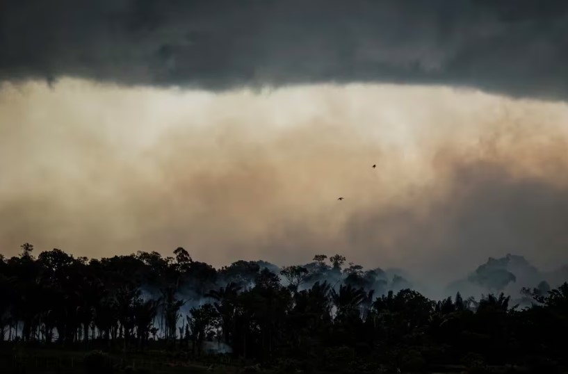 Brasil perdió el 33 % de sus áreas naturales hasta 2023, según estudio