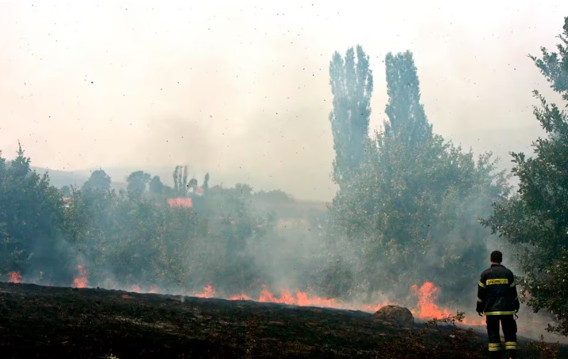 Varios incendios forestales queman cientos de hectáreas de vegetación en Serbia