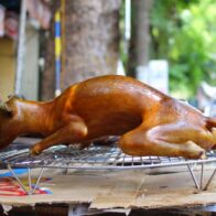 Productores de carne de perro surcoreanos protestan contra la ley que prohíbe su venta