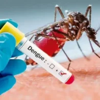 Salud Pública afirma que registra un solo caso positivo de dengue en la última semana - Noticias de hoy en República Dominicana | De Último Minuto