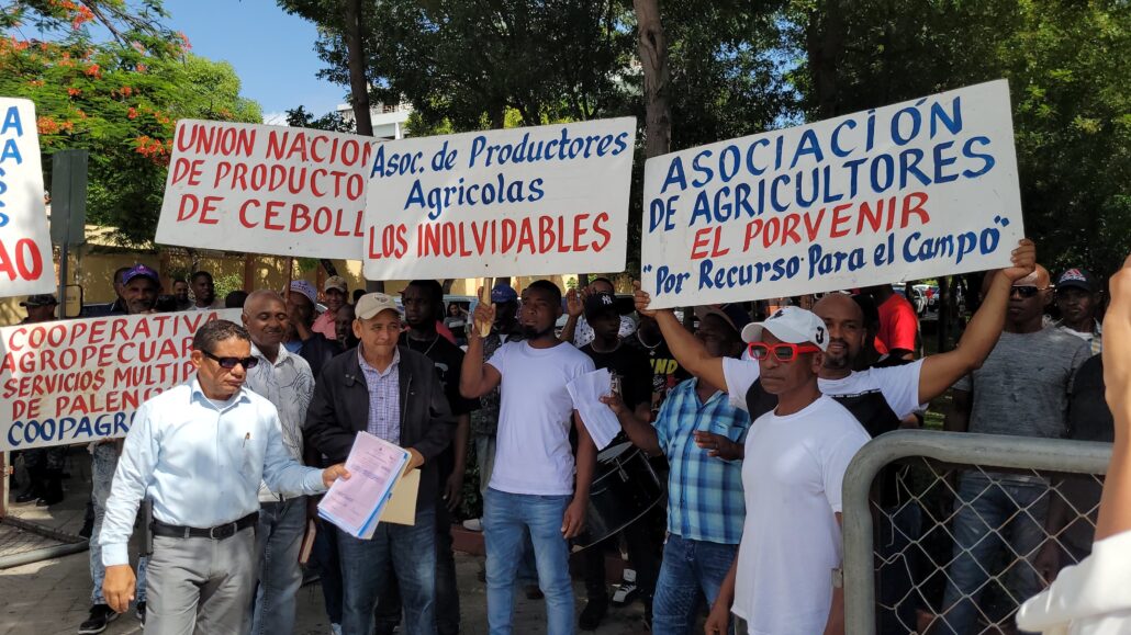 Productores de cebolla claman por pago de RD$ 205 millones