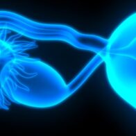 Día Mundial del Cáncer de Ovario: Concienciación y Esperanza - Noticias de hoy en República Dominicana | De Último Minuto