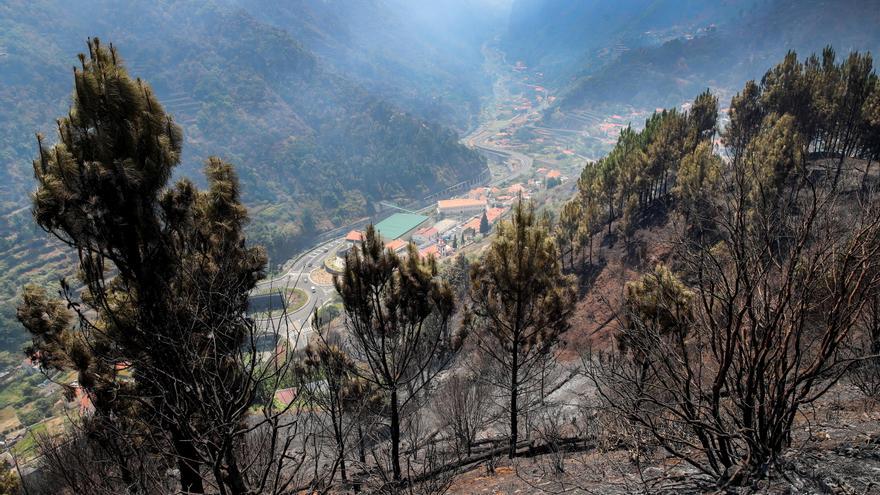 El 14 % de los bosques de Madeira ha ardido por el fuego que ya ha alcanzado la laurisilva