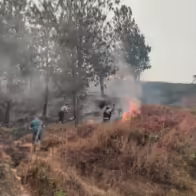 Ecuador y Perú trabajan en conjunto para combatir el incendio forestal en la frontera - Noticias de hoy en República Dominicana | De Último Minuto