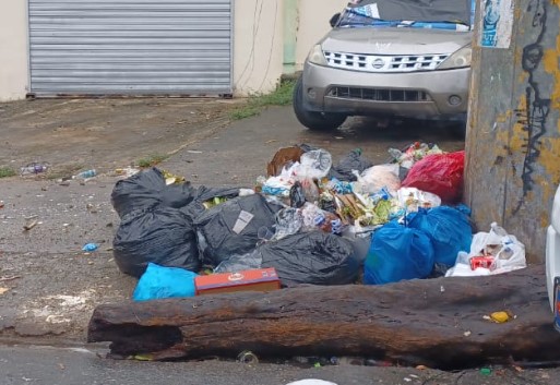 ¡Tú supiste! Contenedores no han resuelto problemas de basura en SDE