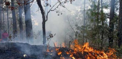 Colombia combate 31 incendios que arrasaron casi 11,000 hectáreas de bosque en dos semanas