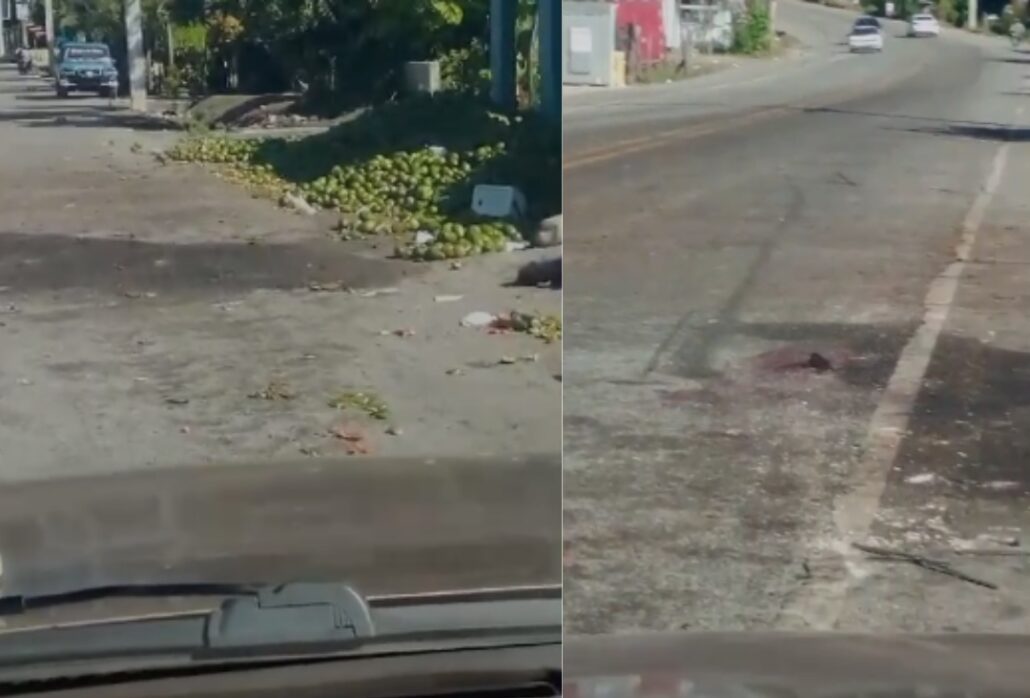 Rastros de sangre y los aguacates del camión que se estrelló en Azua permanecen en la zona