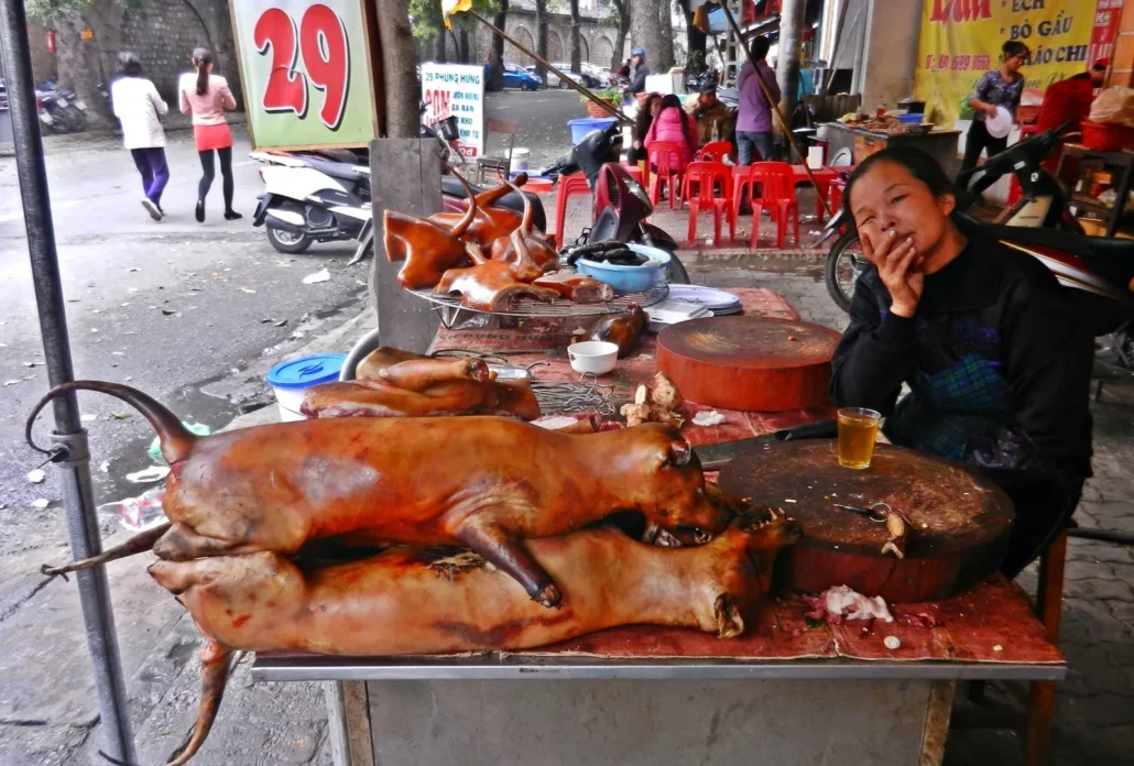 Corea del Sur invertirá 82 millones de dólares para cerrar industria de carne de perro