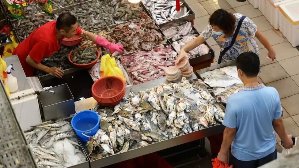 Nuevo estudio corrobora el origen del covid en un mercado chino de pescado