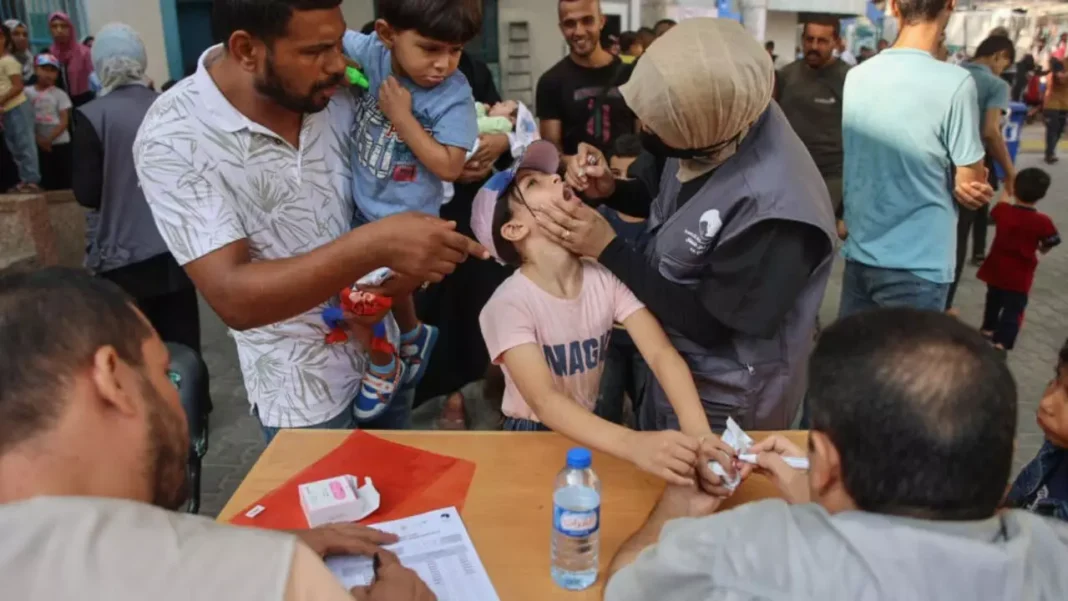 OMS prevé retomar la vacunación contra la polio en Gaza en las dos próximas semanas