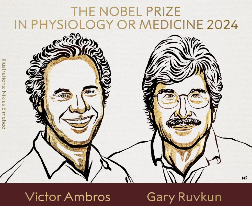 Nobel de Medicina para Ambros y Ruvkun