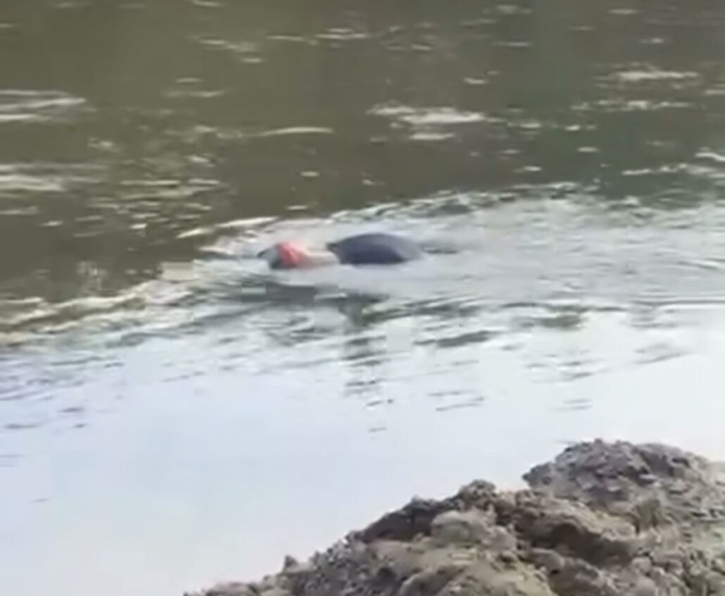 Hallan cadáver en playita del río Yuna, zona de La Isleta