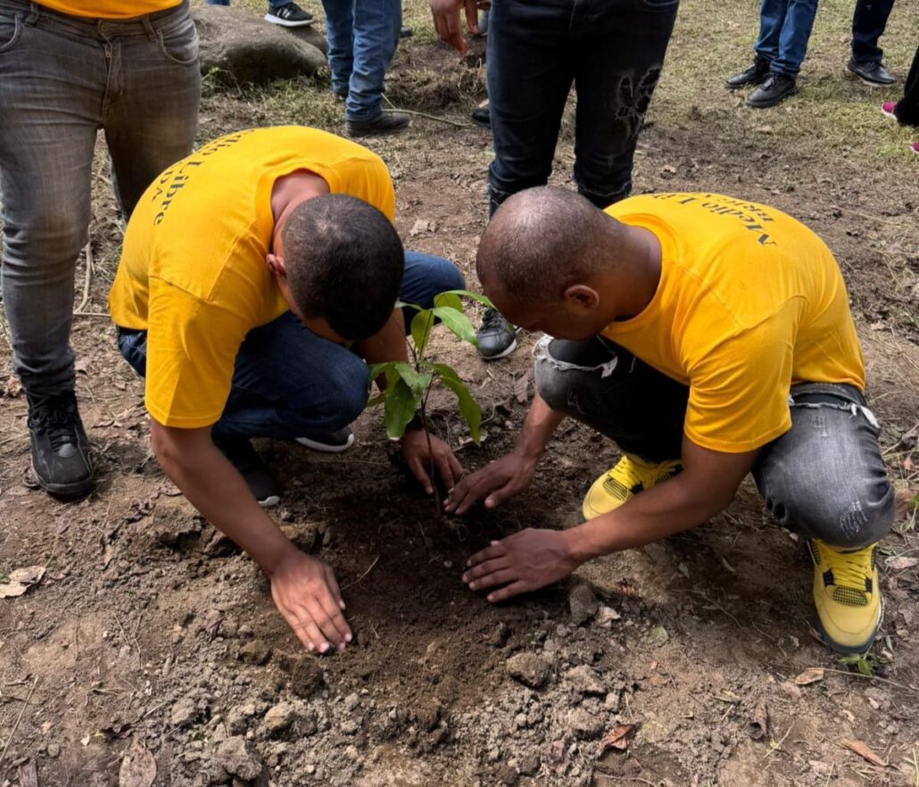 Realizan reforestación con privados de libertad en la cuenca del Río Nizao